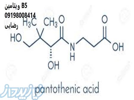 فروش اسید پنتوتنیک,نمایندگی فروش اسید پنتوتنیک 