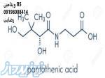 فروش اسید پنتوتنیک,نمایندگی فروش اسید پنتوتنیک 