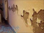 بازسازی ساختمان و رفع نم ساختمان 