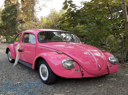 اجاره فولکس قورباغه 