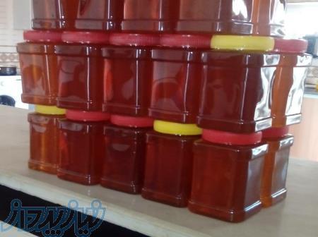عسل طبیعی چهل چشمه (کردستان) 