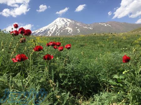 Damavand tour 