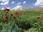 Damavand tour 