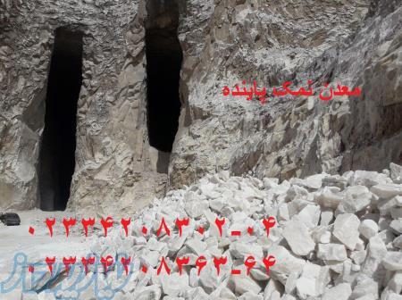 سنگ نمک استخر یا نمک استخر 