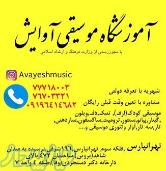 آموزش تخصصی ویلون در تهرانپارس 