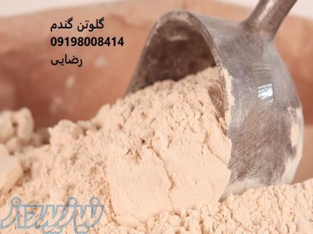 گلوتن گندم,خرید گلوتن گندم 