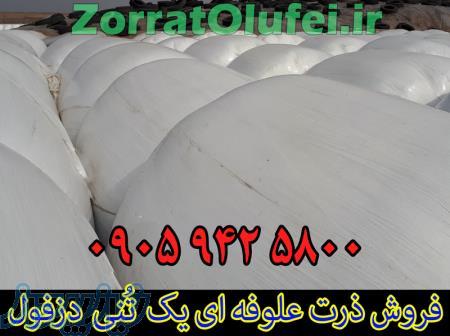 فروش ذرت علوفه ای یک تُنی دزفول فروش علوفه ذرت خوراک دام