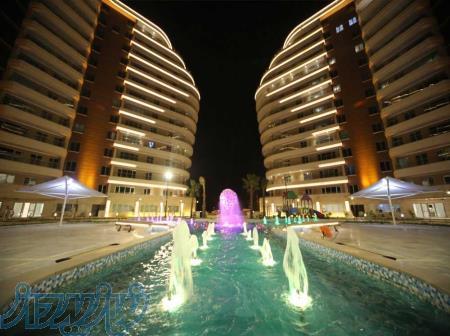 فروش پارسیس 