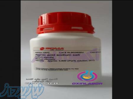 فروش اسید آلژینات سدیم سالت Alginic acid sodium salt 