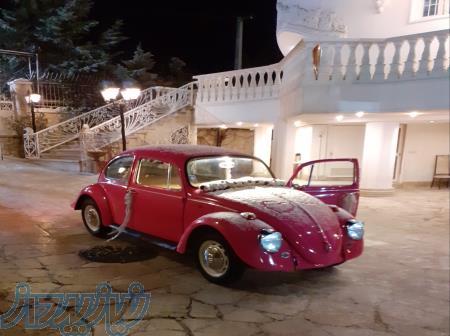 اجاره ماشین عروس فولکس قورباغه صورتی 