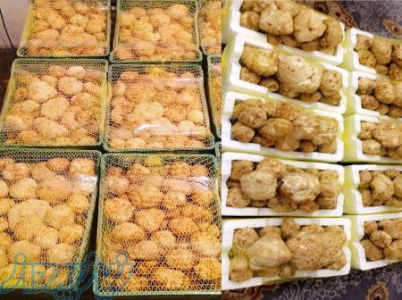 شرکت بازرگانی مهران 