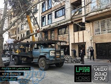 جابجایی درخت تخصص ماست 