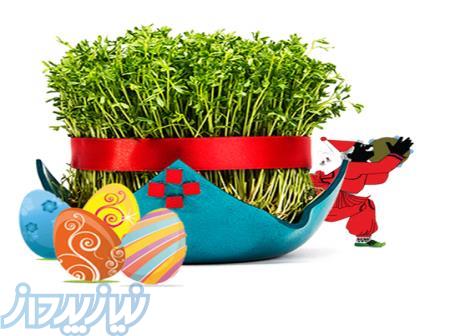 تورهای  ایرانگردی نوروز 99 
