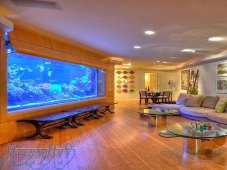 ساخت آکواریوم حرفه ای 