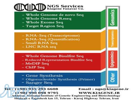 خدمات توالی یابی NGS 