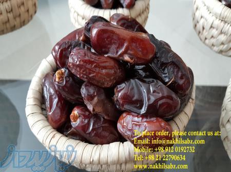 فروش خرمای ربی در بسته بندی های مختلف مستقیماً از کارخانه 