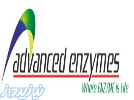 آنزیم- مایه پنیر- رنت ادونسد آنزیمز آمریکایی 