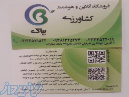 اپلیکیشن آنلاین و هوشمند کشاورزی بپاک 