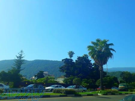 13400متر زمین تجاری در رامسر 