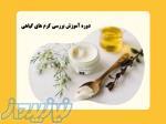 دوره های آموزش کرم سازی در تهران