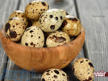 فروش تخم و جوجه بلدرچین 