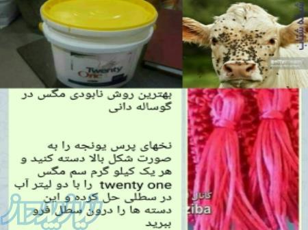 مگس کش twenty one کشنده مگس در ۱۰ ثانیه 
