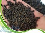 فلفل سیاه و سایر محصولات گیاهی و عطاری 