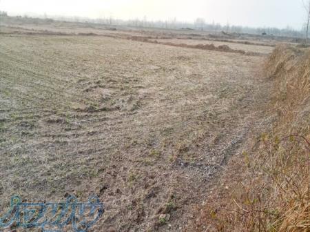 فروش زمین کشاورزی دراستانه اشرفیه 