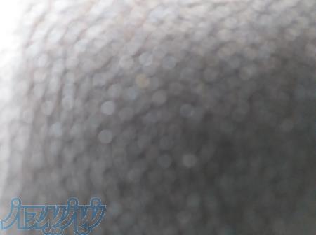 سرمایه گذاری در استارت اپ 