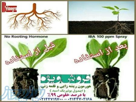 فروش هورمون ریشه زایی گیاهان 