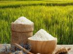 فروش برنج شمال درجه یک 