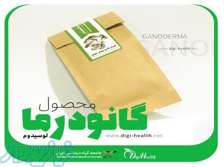 محصول گانودرما لوسیدوم خالص 