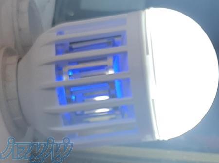 لامپ حشره کش و چراغ خواب سه کاره 