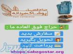 فروشگاه اینترنتی سبزگستر 