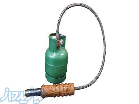 شاخ سوز گوساله