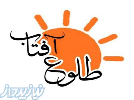 فروش انواع جوجه یکروزه گلپایگانی ، جهادی 