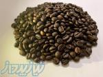 فروش انواع دانه قهوه عربیکا و ربوستا عمده و خرده 