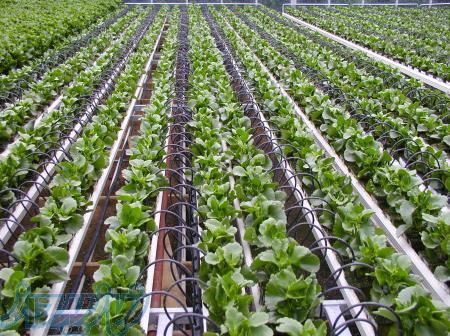 ابیاری قطره ای اتوماتیک 