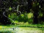 طراحی و اجرای سیستم های آبیاری قطره ای و بارانی 