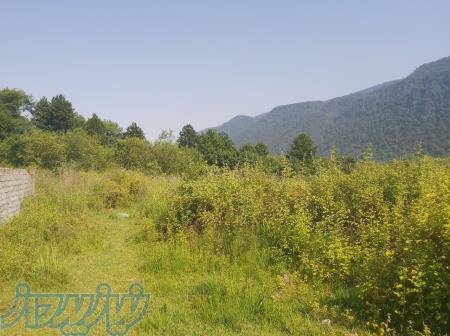 فروش زمین ۲۱۰ متری شمال نوشهر 