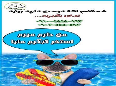 پانسیون مایاپانسیون و مرکز نگهداری حیوانات خانگی مایا 