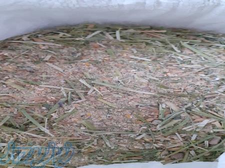 خوراک مرغ تخم گذار 