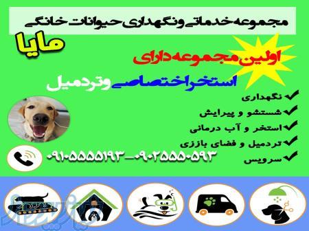 پانسیون و مرکز نگهداری حیوانات خانگی مایا 