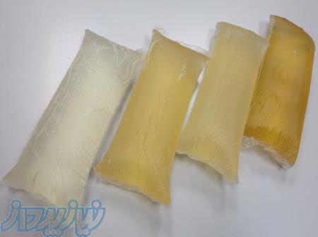 شرکت ایراندار