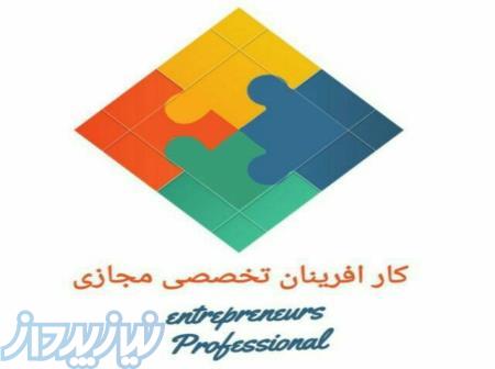 تبلیغات، ترجمه، خدمات برنامه نویسی رایانه ای 