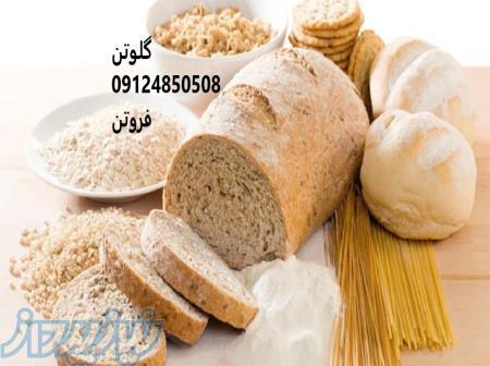 فروش گلوتن-قیمت گلوتن 