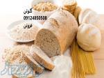 فروش گلوتن-قیمت گلوتن 