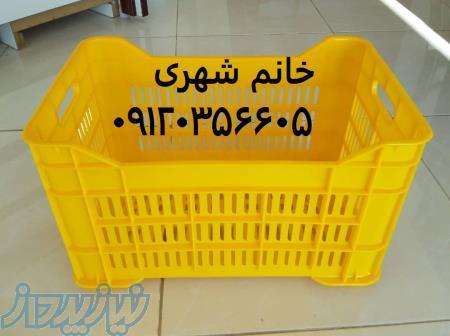 سبد زیتون سبد لبه ابهری 