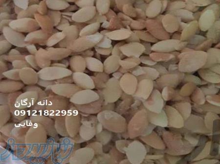 فروش دانه آرگارن ، جوجوبا ، ماکادمیا 