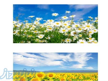 ساخت سایت با وردپرس 